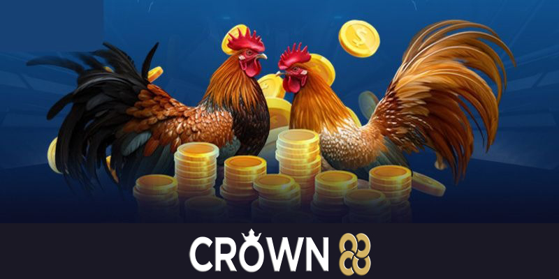 Những lợi ích khi tham gia đá gà tại Crown88